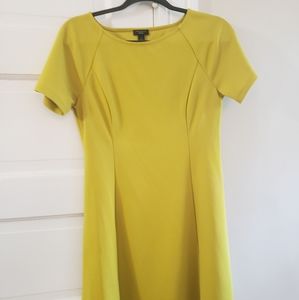 Ann Taylor Factory 6P pullover dress in mustard green yellow